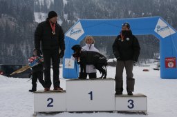 Lenk 2012 SM